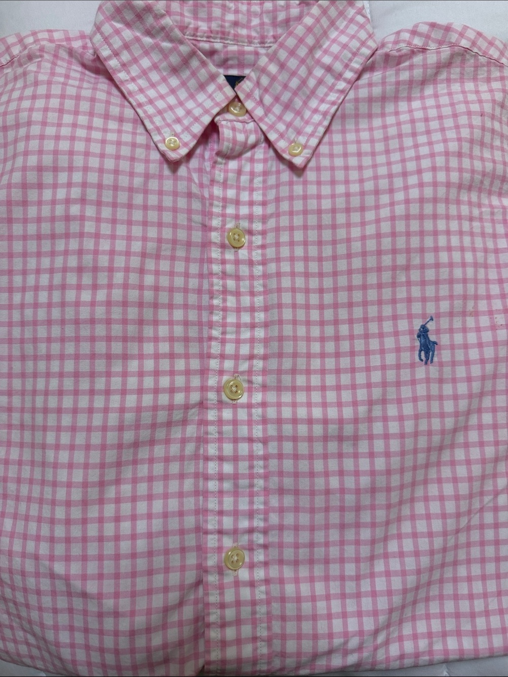 Polo by Ralph Lauren Pink and White Gingham Button-Down Shirt